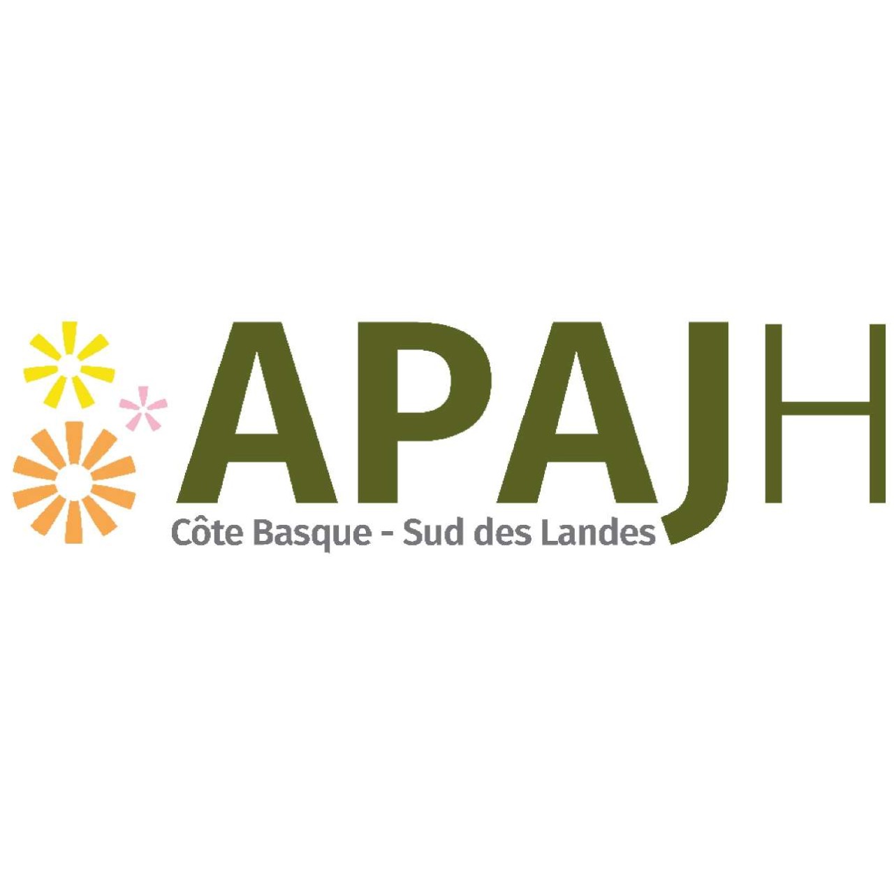 APAJH COTE BASQUE SUD LANDES