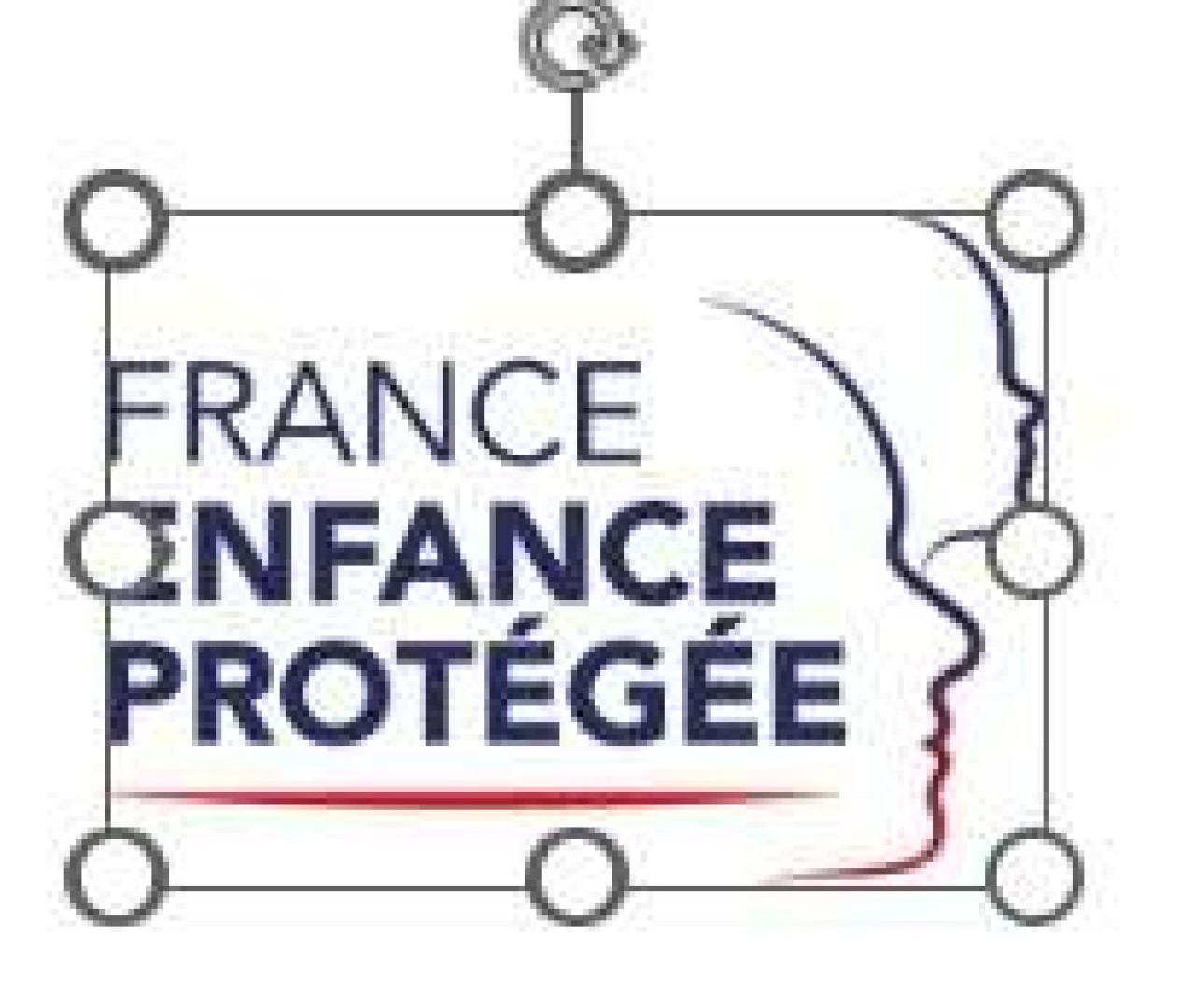 GIP France Enfance Protégée