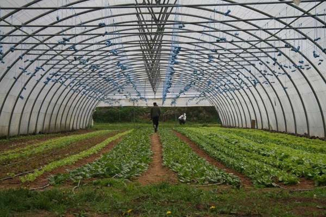 OG Ferme de Moyembrie